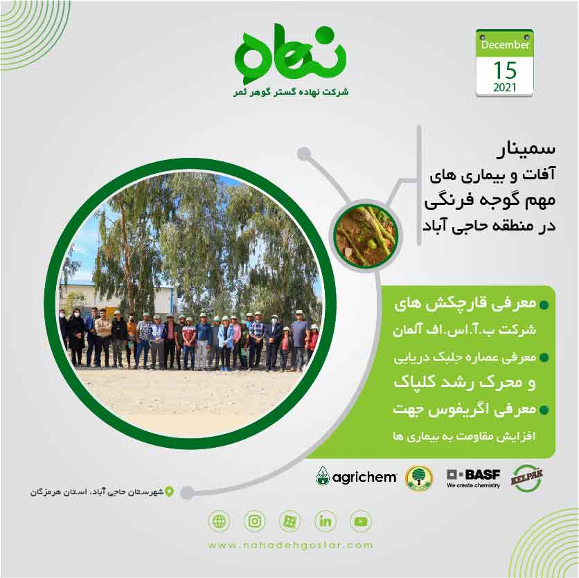 کلیپ سمینار آفات و بیماری های مهم گوجه فرنگی در منطقه حاجی آباد، استان هرمزگان 1400